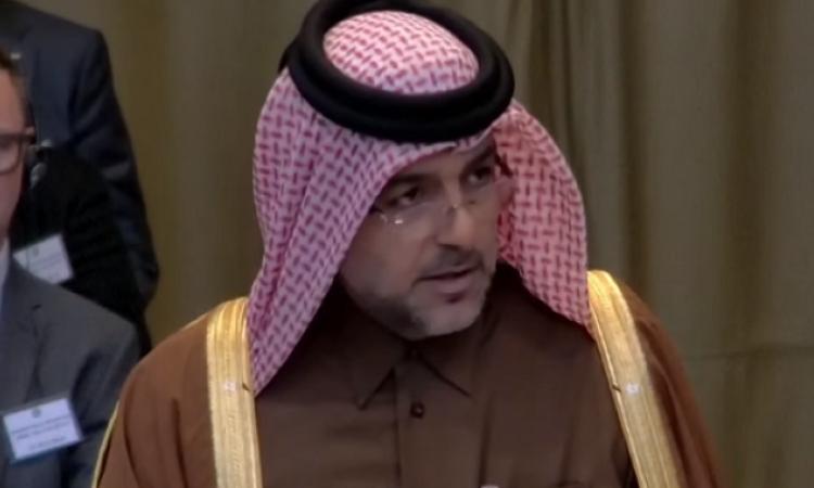 ممثل قطر أمام العدل الدولية: ممارسات إسرائيل خرق فاضح للقانون الدولي