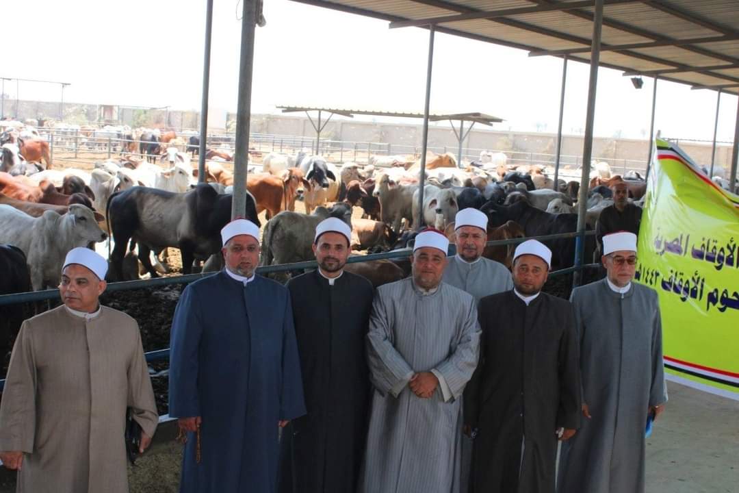 بالصور.. استلام رءوس أضاحي الأوقاف البلدية والسودانية