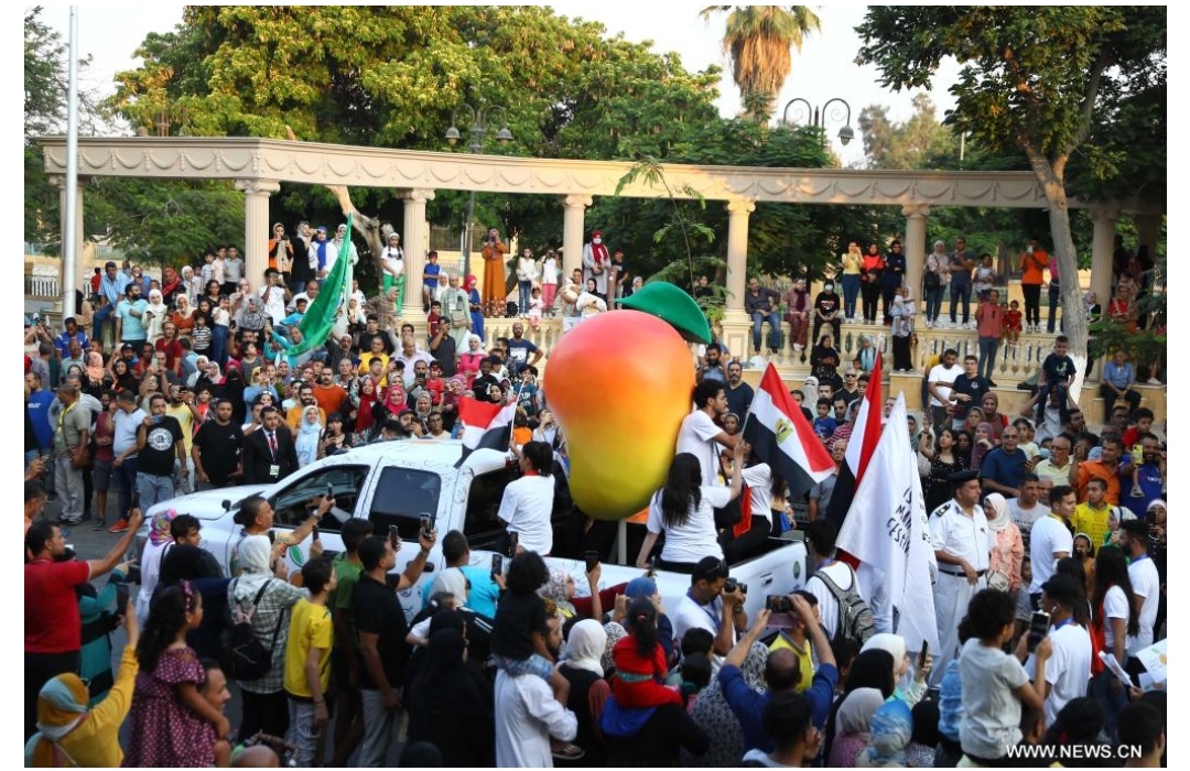 مهرجان المانجو يساعد على الترويج للمنتج في الأسواق المحلية والأجنبية