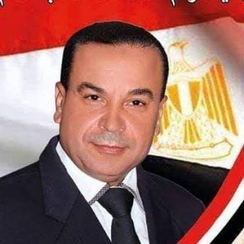 منظمة الشعوب العربية تعلن دعمها الكامل للرئيس والقضاء المصري