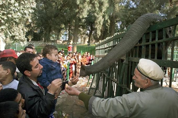 الجيزة تشكل لجانا لمراجعة تراخيص المتنزهات والعائمات والمعديات