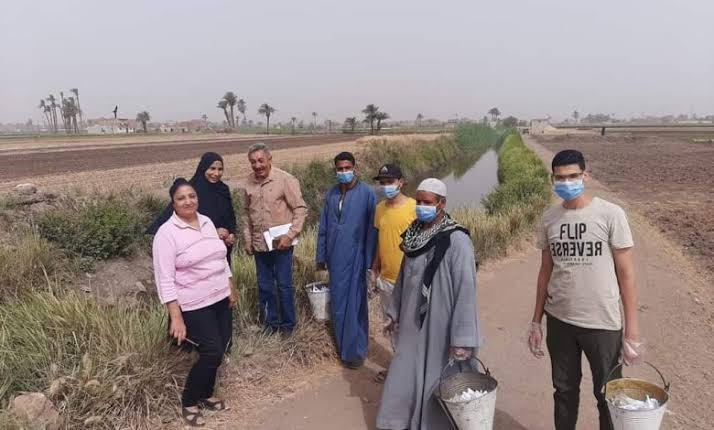 الزراعة تبدأ حملة ما بعد الحصاد لحماية الأراضى الزراعية من القوارض