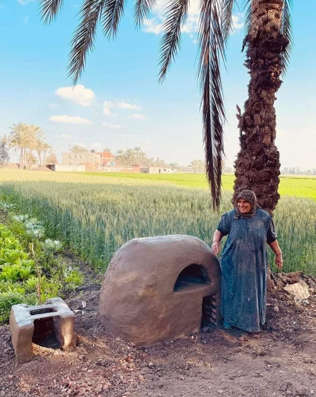 علاء الدين يوسف يكتب.. لو خيروني