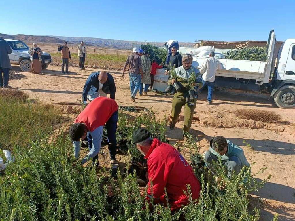 الزراعة تقدم كل الدعم الفني والإرشادي للمنتفعين والمزارعين بشمال وجنوب سيناء