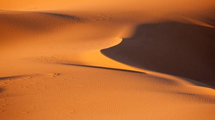 صافية الحسين تكتب.. دَمَوع الرِمَالْ