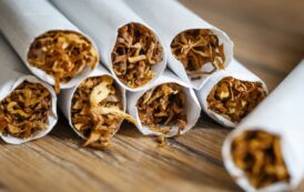 السيطرة على التجارة غير المشروعة الطريق الأول لمكافحة التدخين