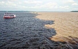 بالصور.. التقاء نهرى نيجرو والأمازون فى البرازيل