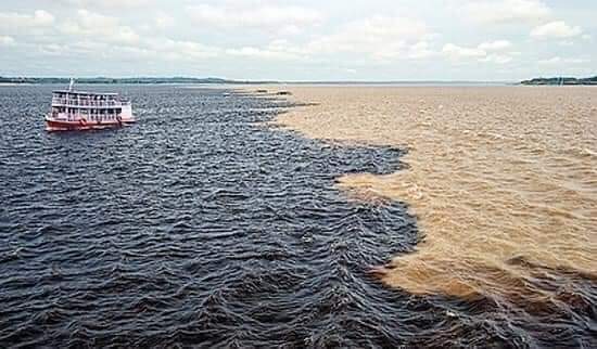 بالصور.. التقاء نهرى نيجرو والأمازون فى البرازيل