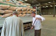 مواقع استلام القمح تفتح أبوابها أمام المزارعين خلال إجازة شم النسيم