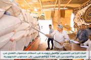 البنك الزراعي المصري يواصل استلام محصول القمح من الموردين والمزارعين في ١٩٠ موقع تخزين