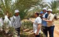 القوات المسلحة تنظم زيارة إلى مشروع إستصلاح وزراعة الأراضى الصحراوية بتوشكى