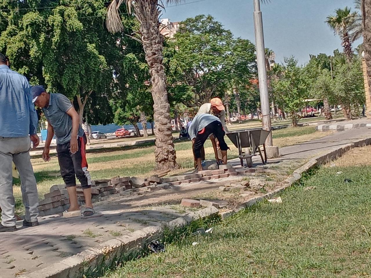 تهذيب ورفع كفاءة المسطحات الخضراء بميدان الممر والحديقة الدولية بالإسماعيلية