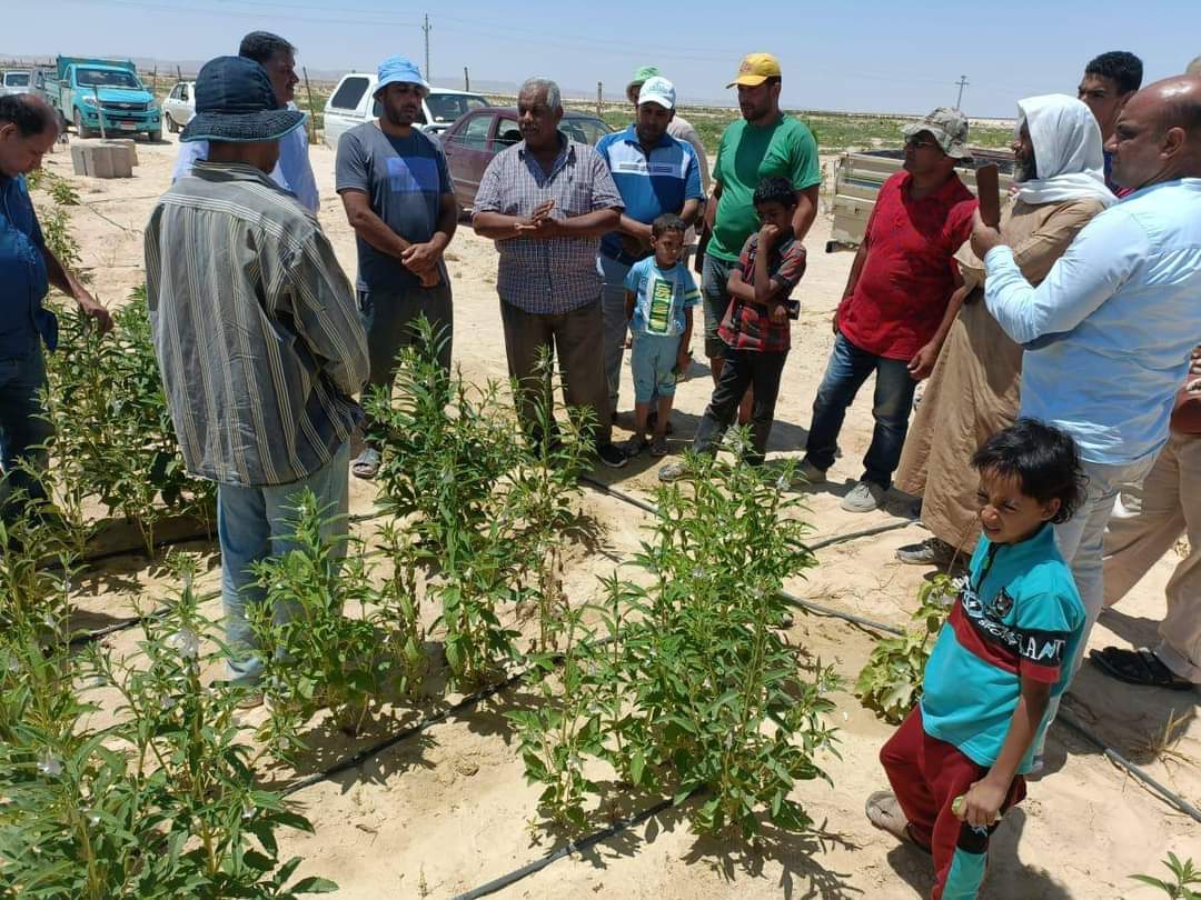 فاروق: كامل الدعم لمزارعي سيناء من كافة قطاعات الوزارة لضمان نجاح التنمية الزراعية