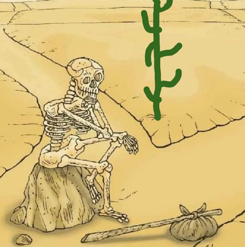 د. كمال يونس يكتب.. لا فرق