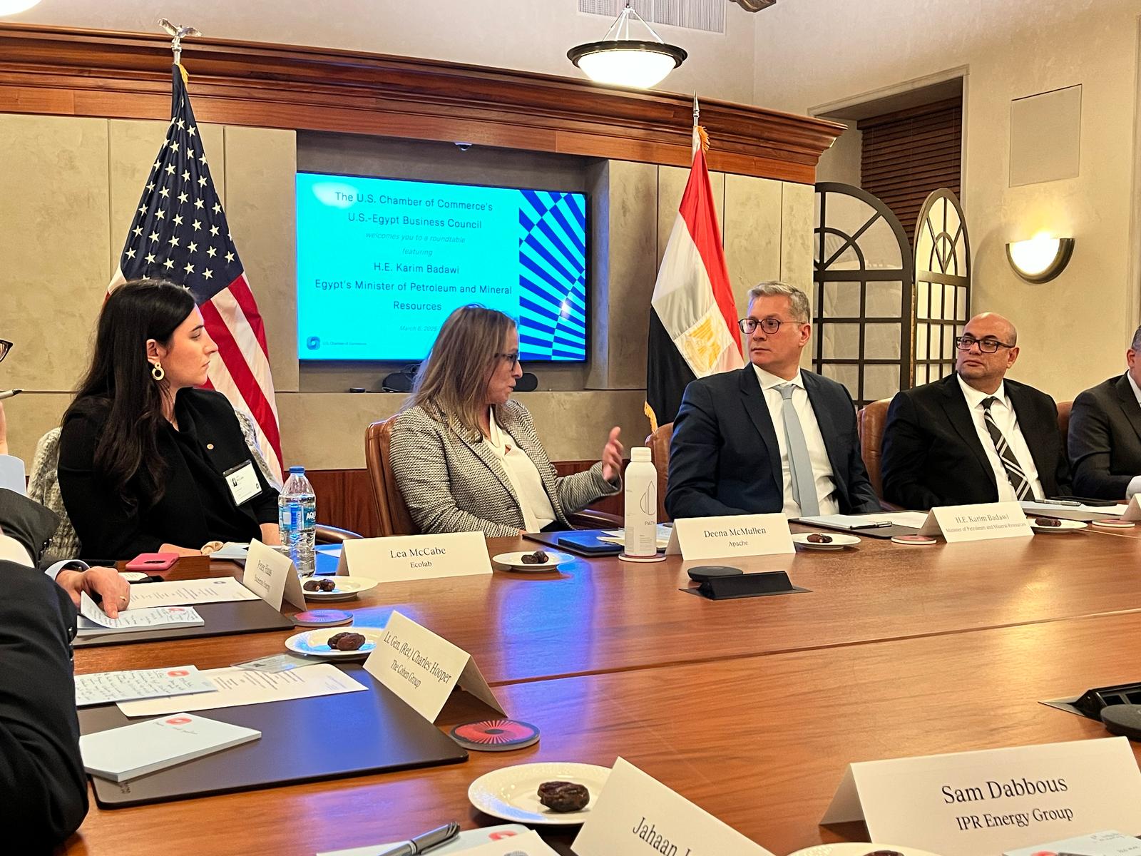 بدوى يشارك مجلس الأعمال المصري الأمريكي