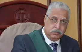 المستشار أحمد النجار يكتب .. فى الساحل الشمالي يتجلى مفعول تلك الخلطة السحرية