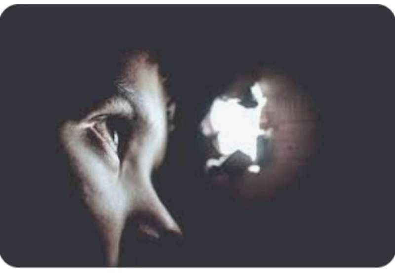د. كمال يونس يكتب.. الميراث الحرام