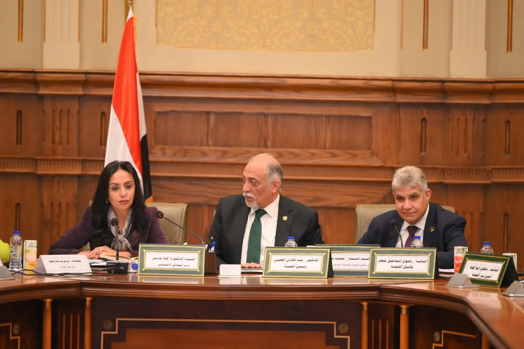 مايا مرسى تشارك اجتماع لجنة التضامن والأشخاص ذوي الإعاقة بمجلس النواب بحضور وزير الشئون النيابية