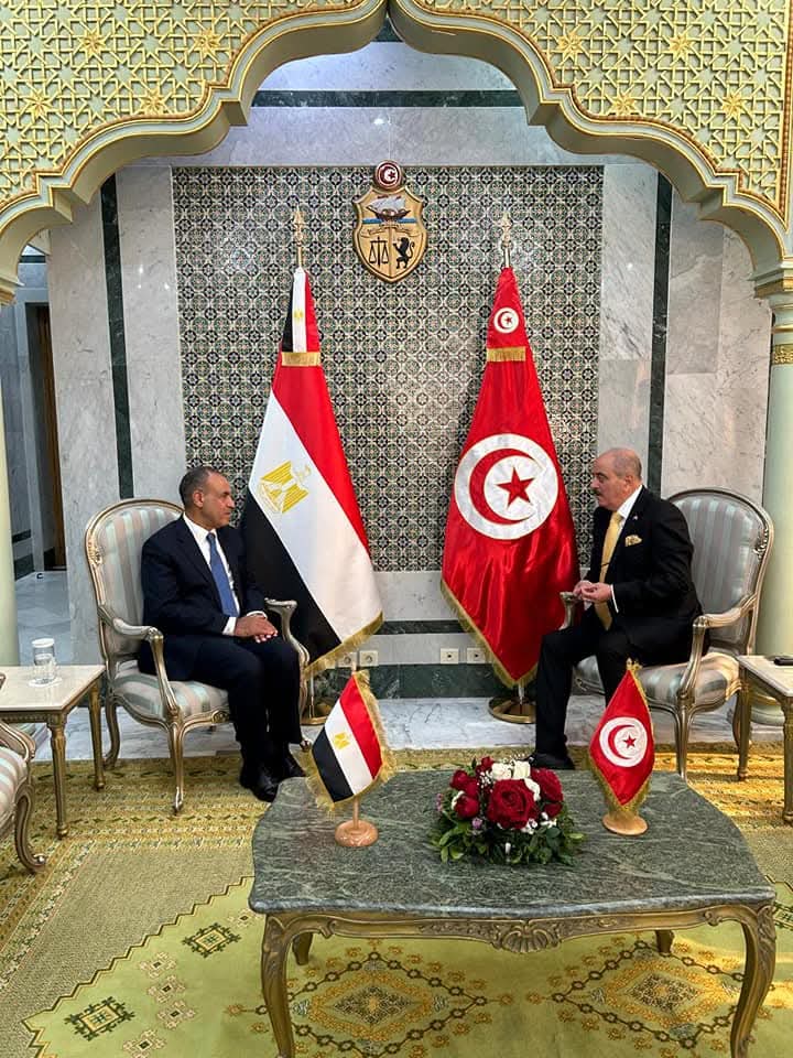 وزير الخارجية يعقد جلسة مباحثات مع نظيره التونسي