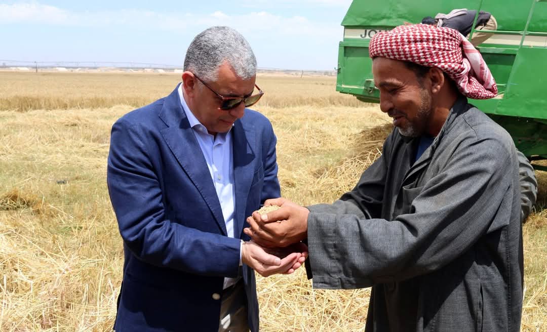محافظ الإسماعيلية يشهد الاحتفال بيوم حصاد محصول القمح الذهب الأصفر بفايد