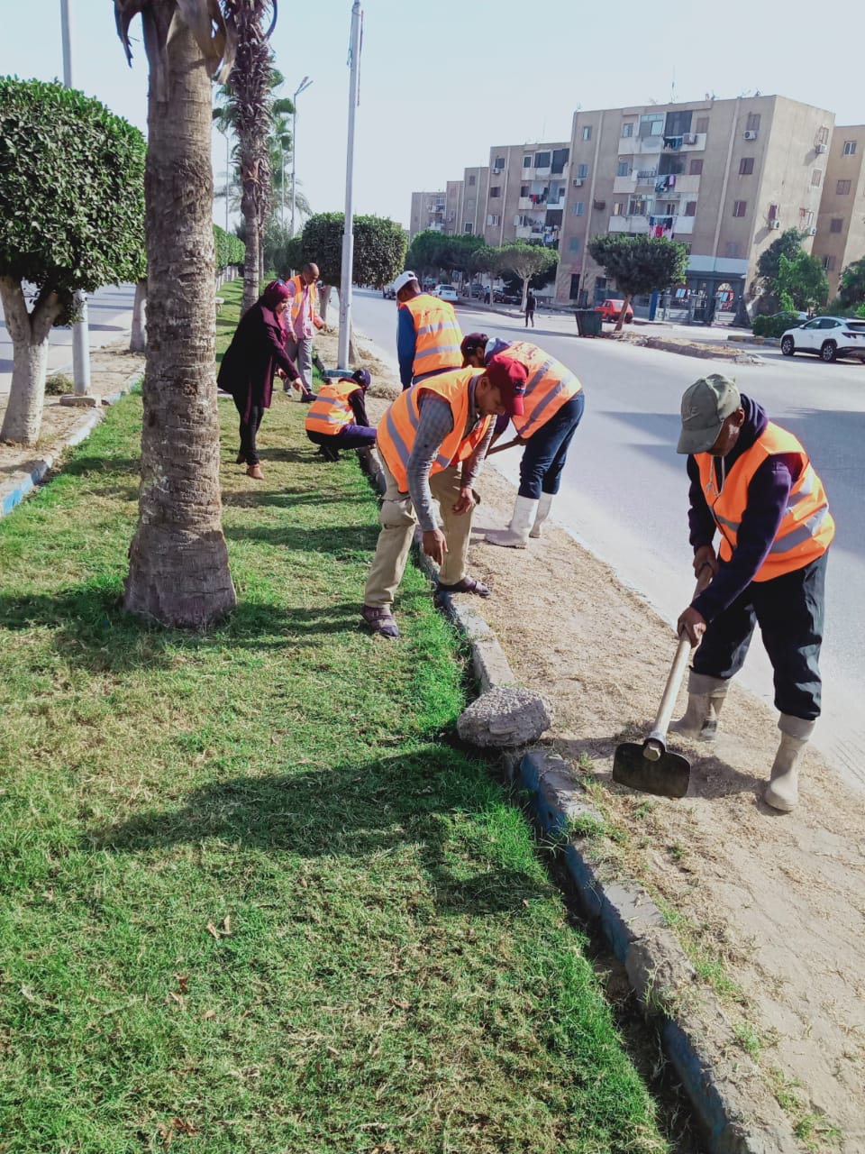 إحتفالا بأعياد الربيع.. رفع كفاءة الحدائق والمتنزهات والمسطحات الخضراء بالإسماعيلية