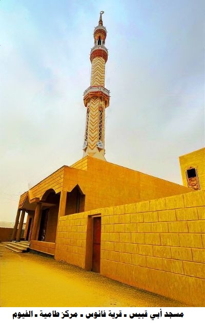 الأوقاف تفتتح ٧ مساجد غدًا الجمعة
