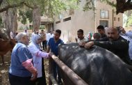 جامعة الفيوم: علاج 1045 حالة من الماشية بالمجان ضمن القافلة البيطرية بقرية الأعلام