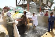 محافظ سوهاج: توريد 130 ألف طن قمح منذ بدء موسم التوريد بزيادة 20%