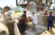 محافظ سوهاج: توريد 130 ألف طن قمح منذ بدء موسم التوريد بزيادة 20%
