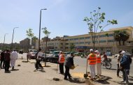 زراعة 1000 شجرة بحى الأميرية.. المطرية والزيتون والزاوية في الطريق