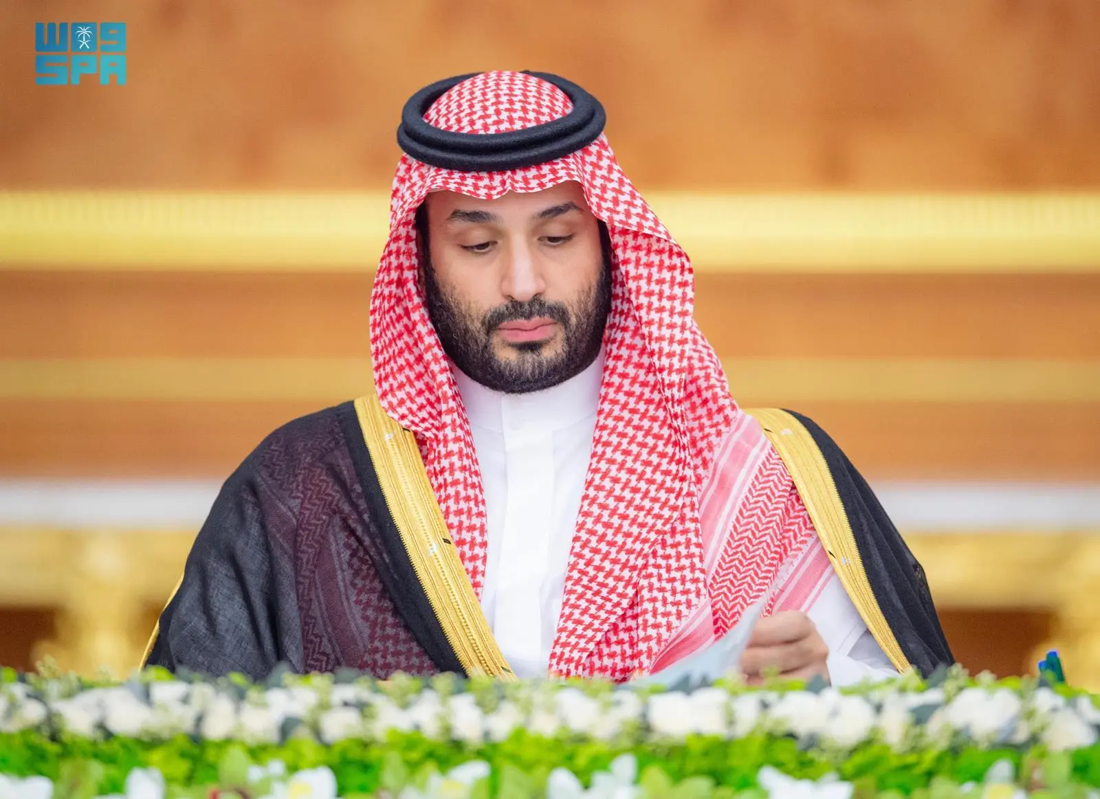 بن سلمان يؤكد مواصلة المملكة جهودها للوصول لحل الدولتين.. ويشدد على رفضه الاعتداءات الإسرائيلية على  سورية