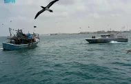 حرس الحدود بمنطقة مكة المكرمة ينقذ (10) مقيمين مصريين بعد جنوح واسطتهم البحرية