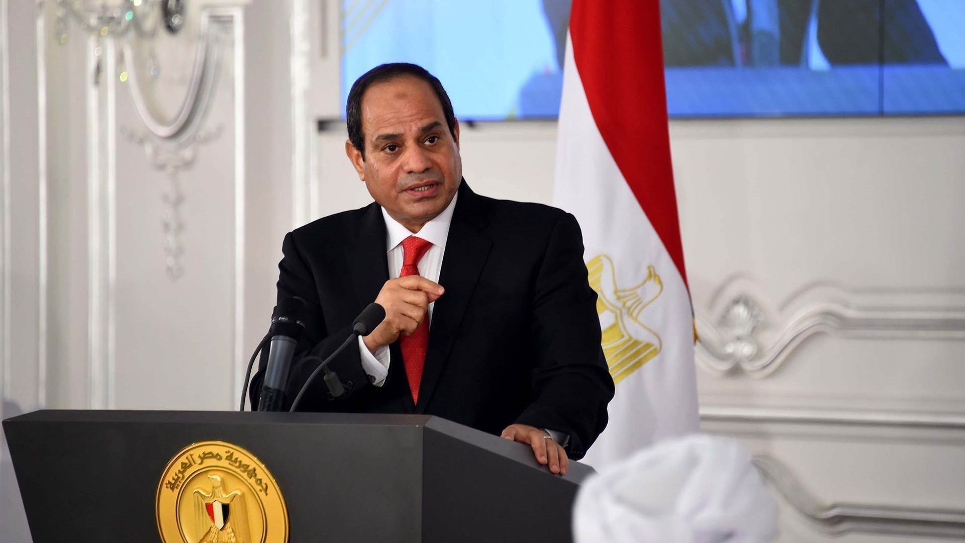الرئيس السيسى يوجه برقمنة وتطوير محطة الزهراء للخيول العربية