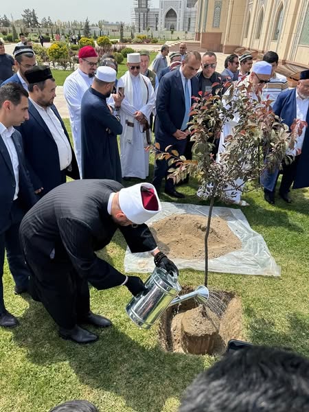 وزير الأوقاف يغرسها بمحيط مرقد الإمام البخاري تخليدًا للسلام والإثمار والعمران.. 