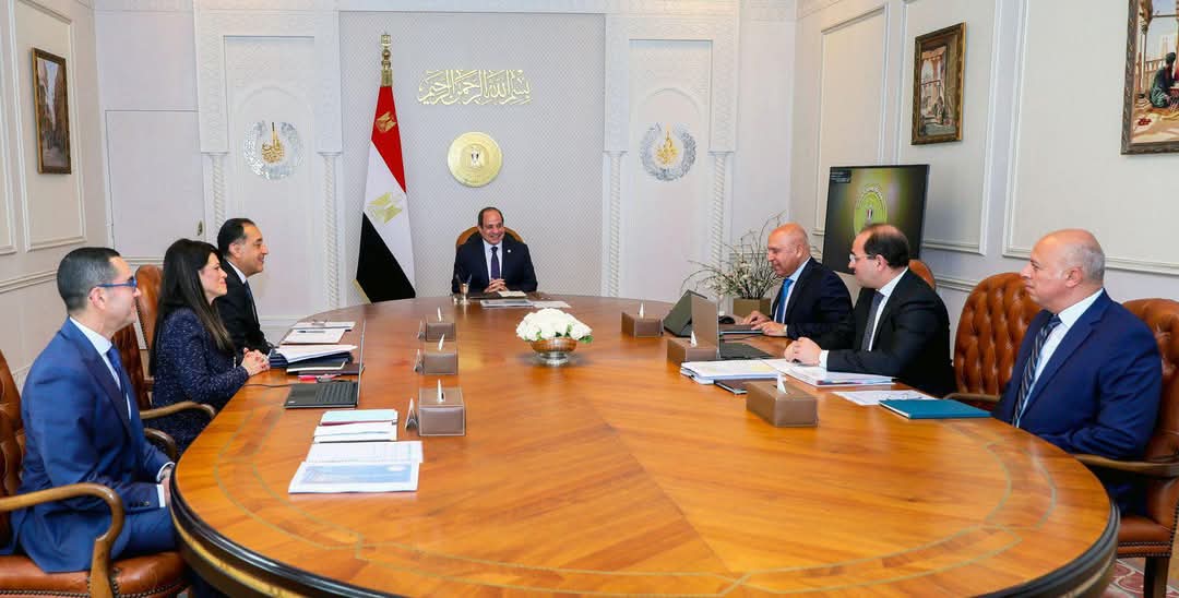 الرئيس السيسى يبحث تحسين أوضاع الهيئات الإقتصادية واعادة هيكلتها