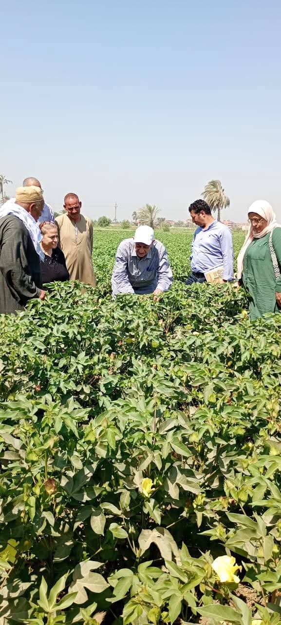 الزراعة تنفذ 453 ندوة إرشادية وتواصل المرور الميداني وتقديم الدعم الفني ل 7000 مزارع
