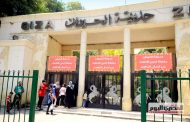 مدير الرابطة الأفريقية لحدائق الحيوان يشيد بجهود مصر في تطوير حديقة الحيوان بالجيزة