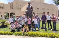 الفن الجميل
