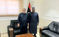 الفريق حسين العايب يستقبل رئيس مخابرات نيجيريا السيد محمد محمد