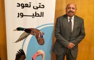ا د عاطف محمد كامل يكتب اضرار التسرب الزيتى فى البحار والمحيطات واضرارة على البيئة البحرية والتنوع البيولوجى