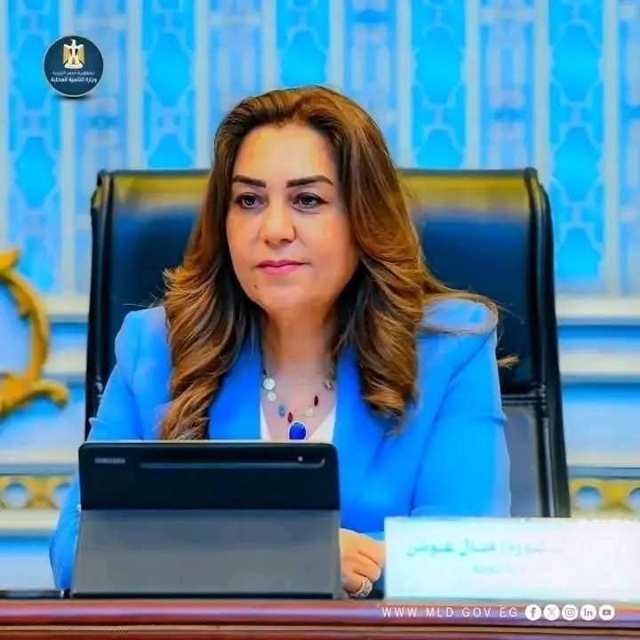 استعدادات مكثفة لانتخابات مجلس الشيوخ 2025 يومي 4 و5 أغسطس