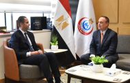 نائب وزير الصحة يؤكد التزام مصر بالبرنامج الوطني للتنمية البشرية (2024 - 2030)
