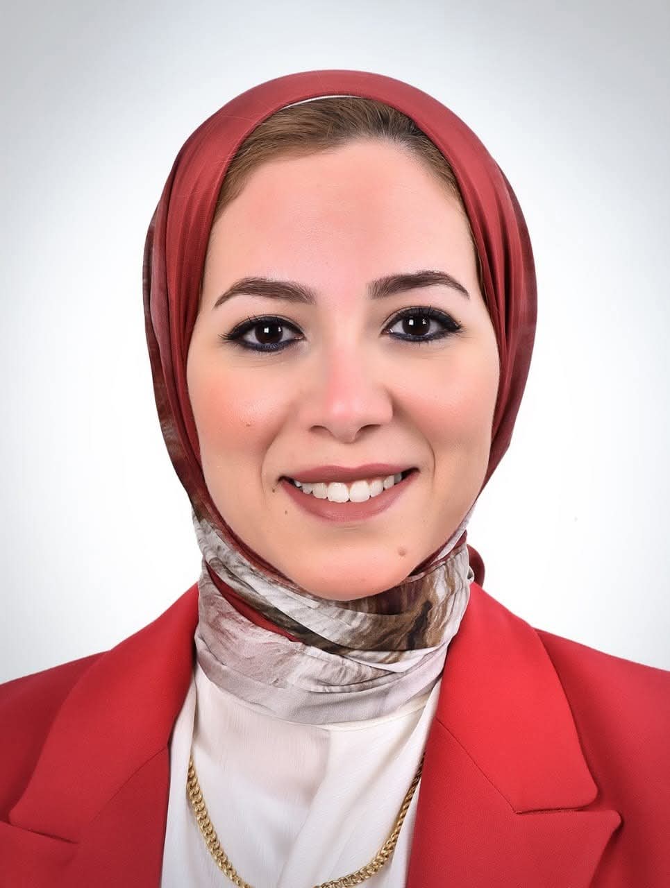 الشربيني متحدثا رسميا لوزارة البترول