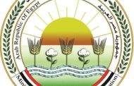 وزير الزراعة: دعم صغار المربين هو حجر الزاوية لتحقيق الأمن الغذائي وتنمية هذا القطاع الهام