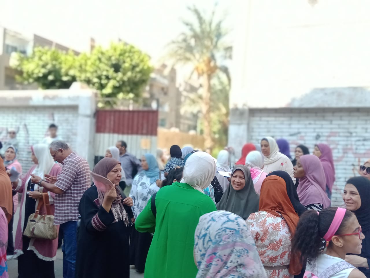 الزناتي: المشاركة في عملية التصويت واجب وطني ودعم لمسيرة الدولة