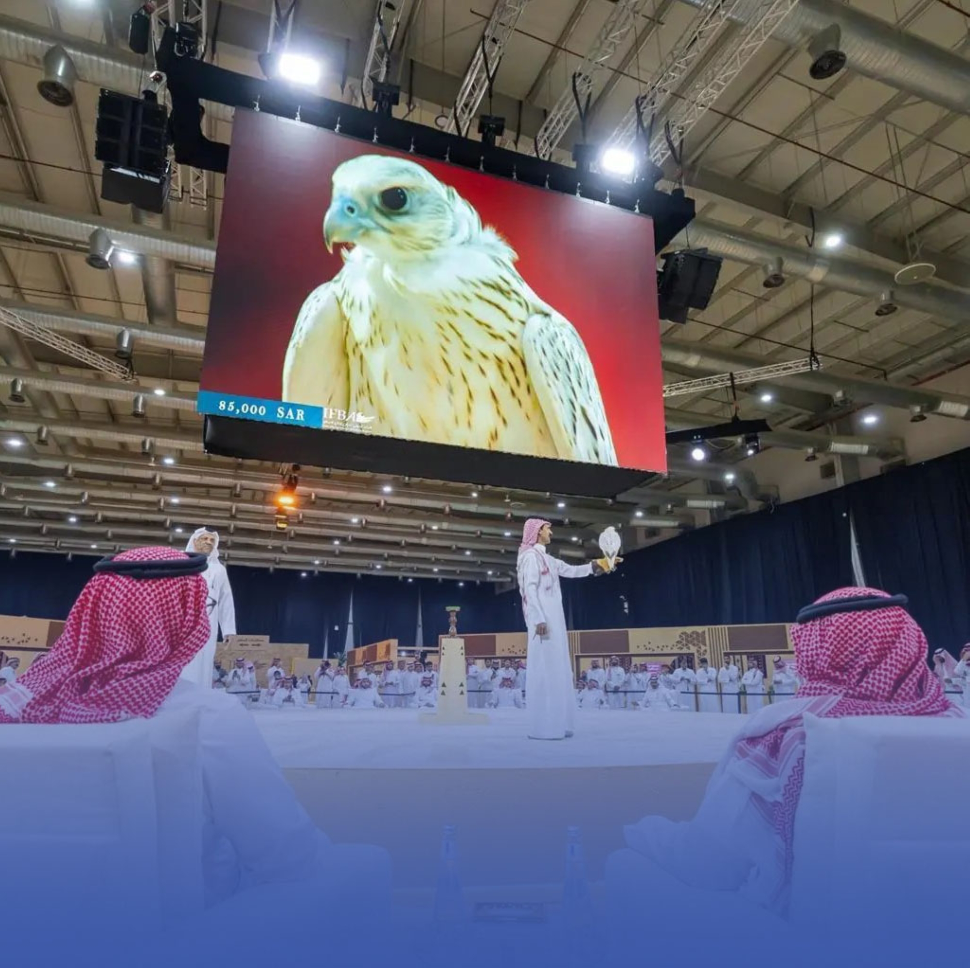 د. عصام محمد عبد القادر يكتب.. احتراق الوجدان