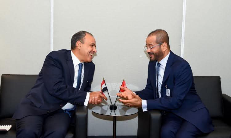 وزيرا الخارجية العُماني والمصري يؤكدان استمرار التعاون والتنسيق في كافة المجالات