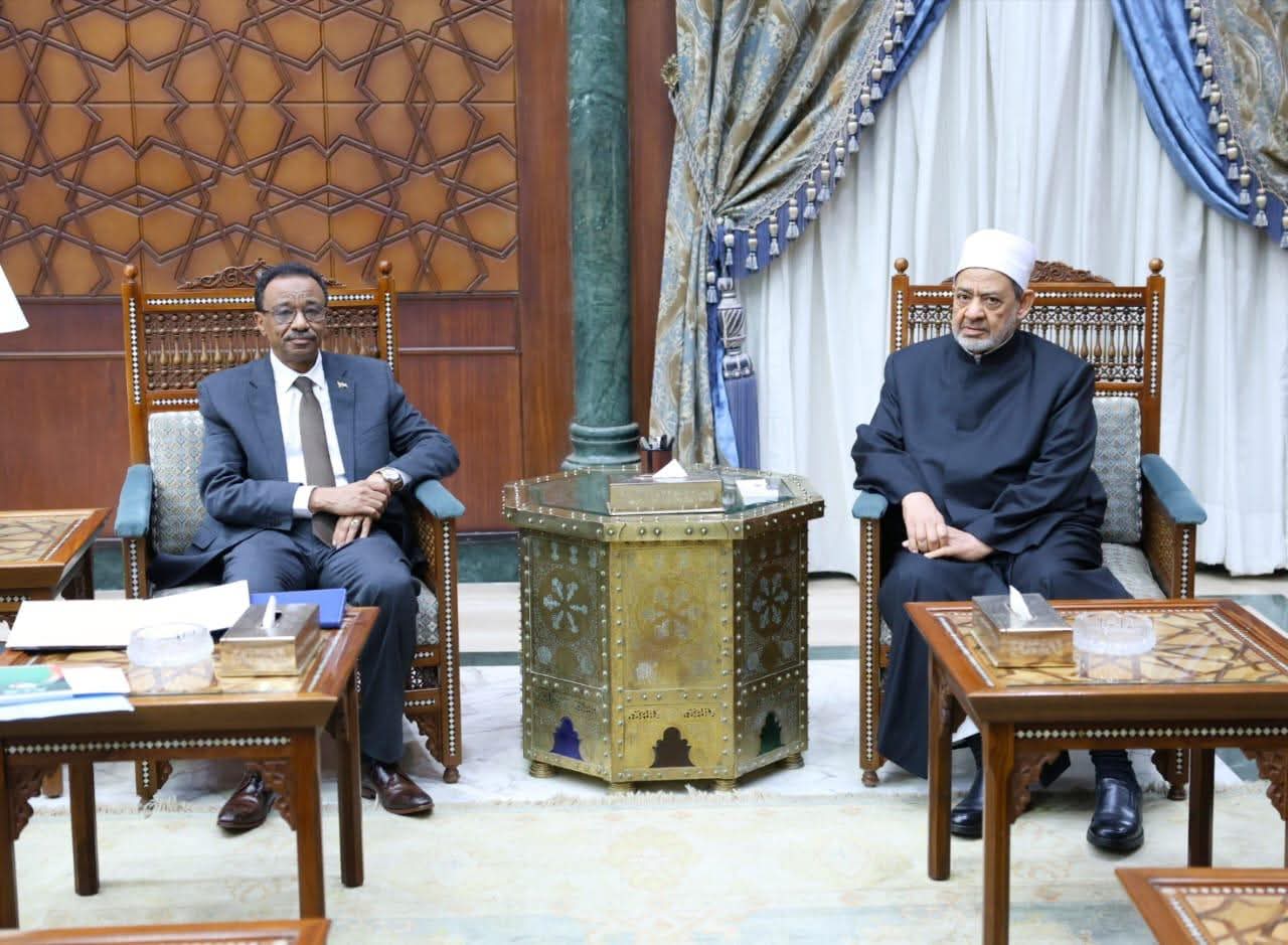 شيخ الأزهر يبحث مع وزير التعليم العالي السوداني تعزيز التعاون المشترك