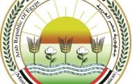 الزراعة : دعوات الامتناع عن إطعام الكلاب الضالة سلوك مخالف للشرع والقانون