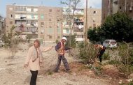 رفع كفاءة المتخللات السكنية بحي ثالث ضمن خطة تحسين البيئة بالإسماعيلية